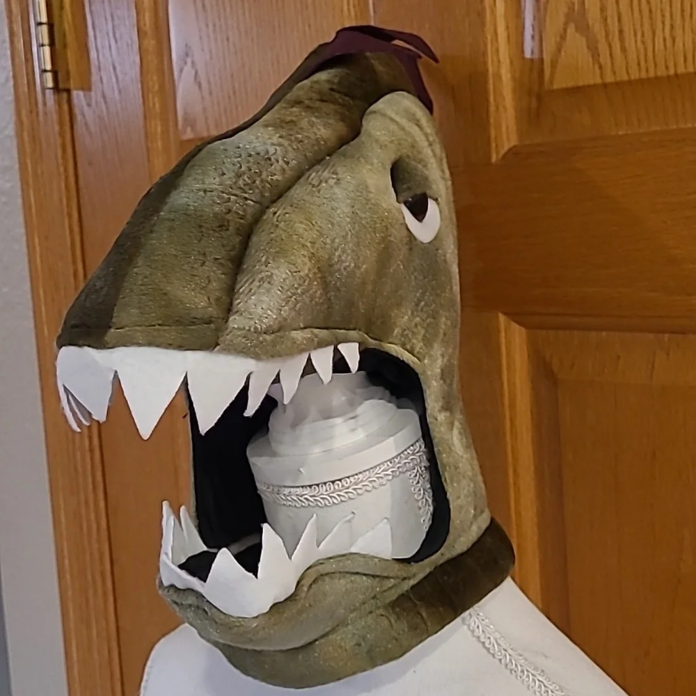Dinosaur Or Dragon Costume Child XS 4/6?